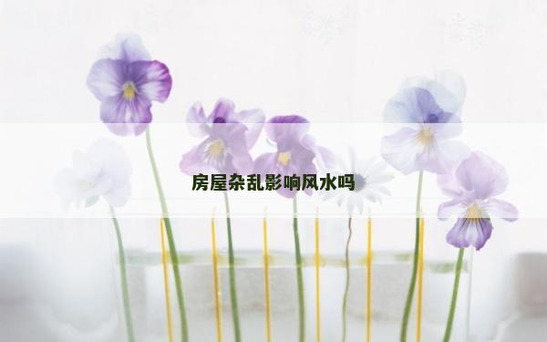 房屋雜亂影響風水嗎