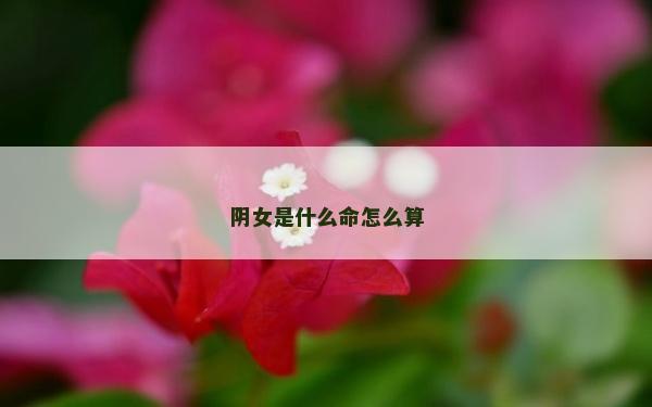 陰女是什么命怎么算