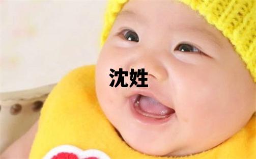 沈姓有詩意的男寶寶名字