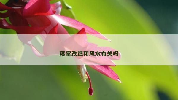 寢室改造和風水有關嗎 寢室改造和風水有關嗎