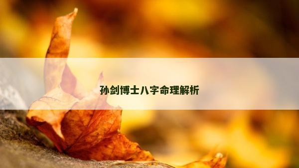 孫劍博士八字命理解析