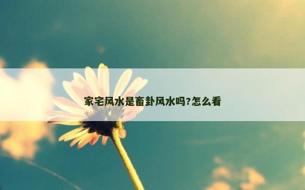 家宅風(fēng)水是畜卦風(fēng)水嗎?怎么看