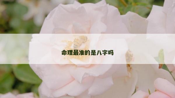 命理最準的是八字嗎