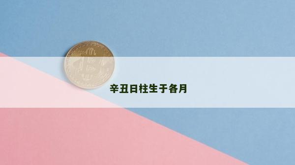 辛丑日柱生于各月