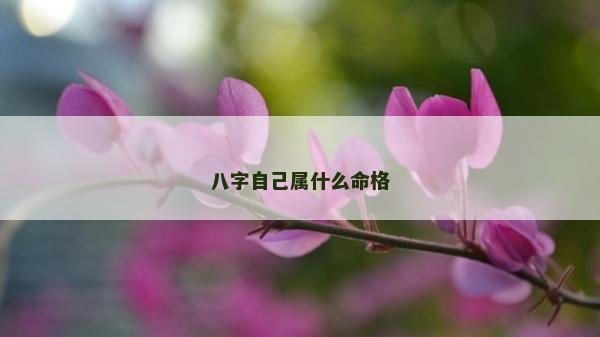 八字自己屬什么命格 八字自己屬什么命格