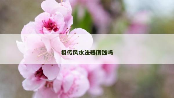祖?zhèn)黠L水法器值錢嗎