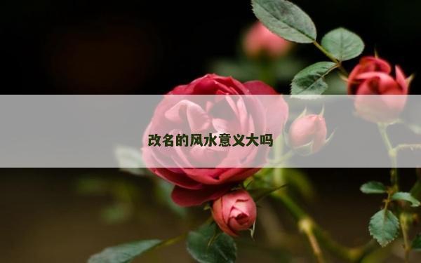 改名的風水意義大嗎