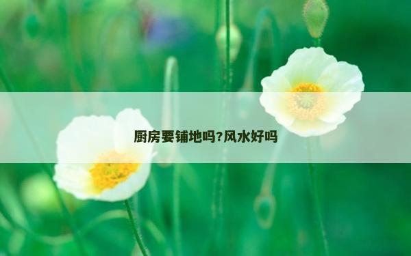 廚房要鋪地嗎?風水好嗎