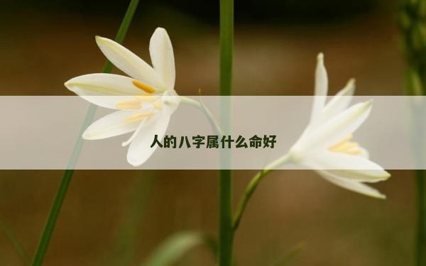 人的八字屬什么命好