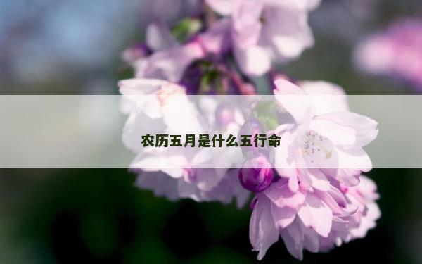 農(nóng)歷五月是什么五行命