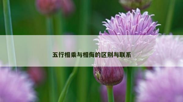 五行相乘與相侮的區別與聯系
