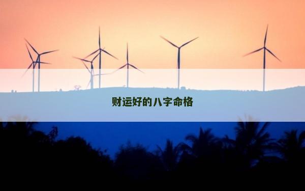 財運好的八字命格