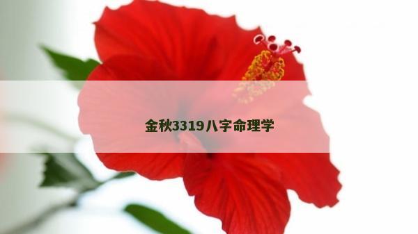 金秋3319八字命理學