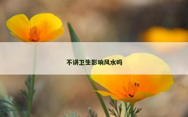 不講衛生影響風水嗎