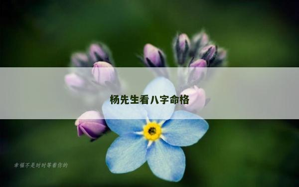 楊先生看八字命格