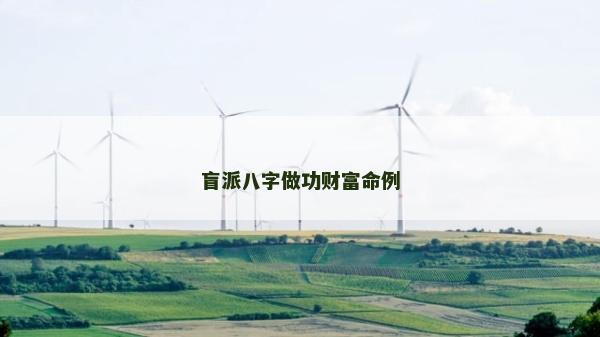 盲派八字做功財富命例