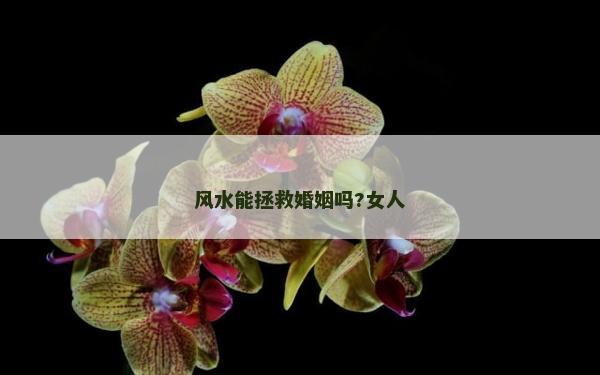 風水能拯救婚姻嗎?女人