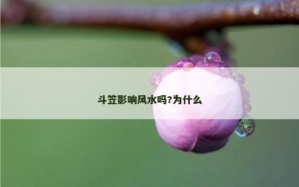 斗笠影響風水嗎?為什么