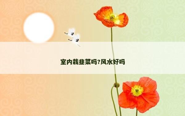 室內栽韭菜嗎?風水好嗎