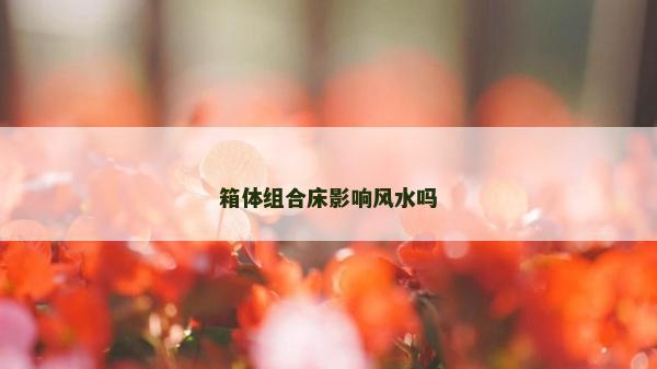 箱體組合床影響風水嗎