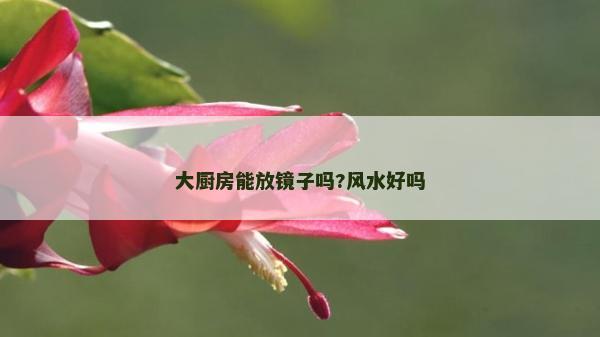 大廚房能放鏡子嗎?風水好嗎