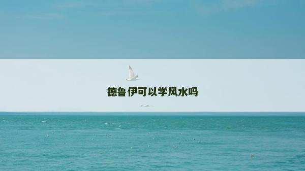 德魯伊可以學(xué)風(fēng)水嗎