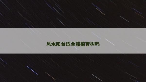 風(fēng)水陽(yáng)臺(tái)適合栽植杏樹(shù)嗎 風(fēng)水陽(yáng)臺(tái)適合栽植杏樹(shù)嗎