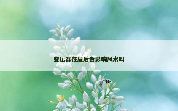 變壓器在屋后會(huì)影響風(fēng)水嗎
