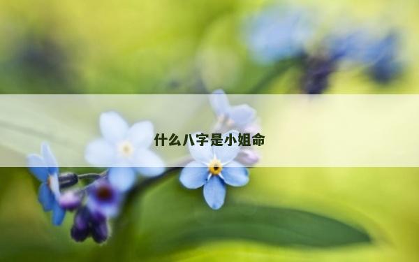 什么八字是小姐命