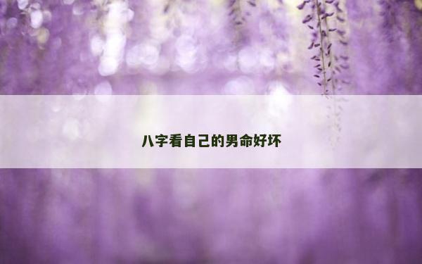 八字看自己的男命好壞