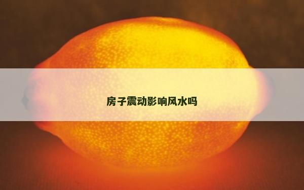房子震動影響風水嗎 房子震動影響風水嗎