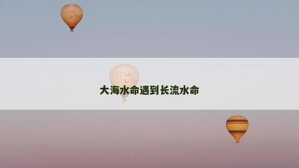 大海水命遇到長流水命