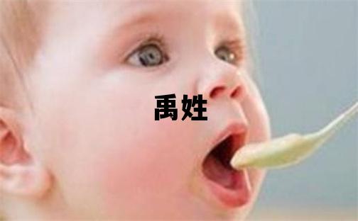 禹姓洋氣的男孩名字