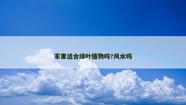 家里適合綠葉植物嗎?風水嗎