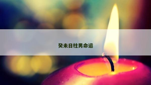 癸未日柱男命運