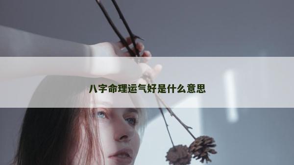 八字命理運(yùn)氣好是什么意思