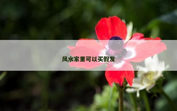 風水家里可以買假發(fā)