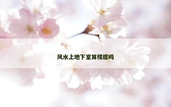 風水上地下室算樓層嗎 風水上地下室算樓層嗎