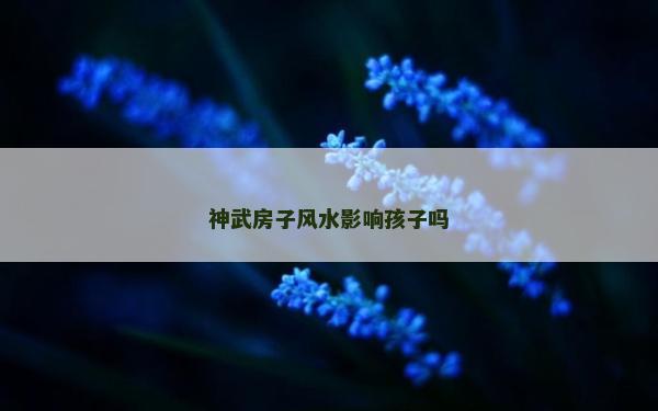 神武房子風水影響孩子嗎
