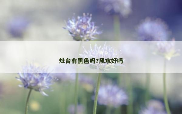 灶臺有黑色嗎?風水好嗎
