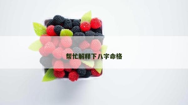 幫忙解釋下八字命格