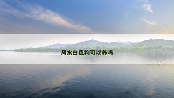 風(fēng)水白色狗可以養(yǎng)嗎