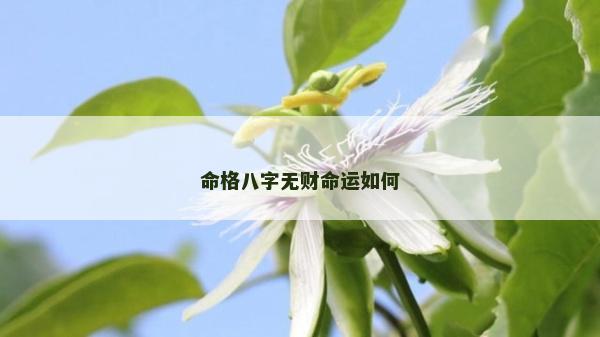 命格八字無財命運如何