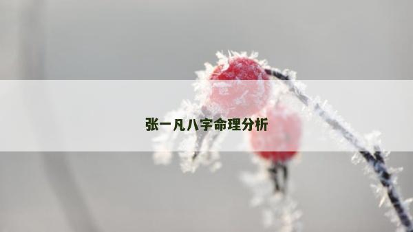 張一凡八字命理分析