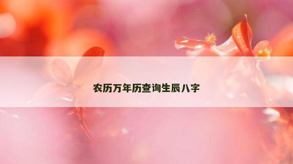 農歷萬年歷查詢生辰八字