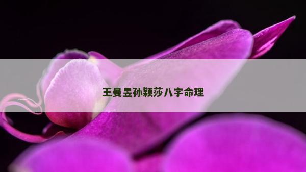 王曼昱孫穎莎八字命理