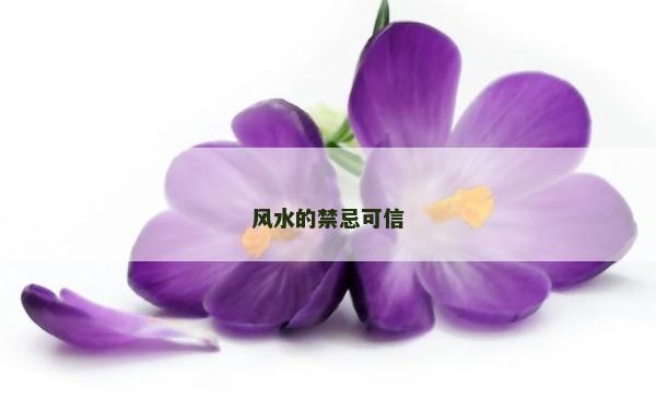 風水的禁忌可信