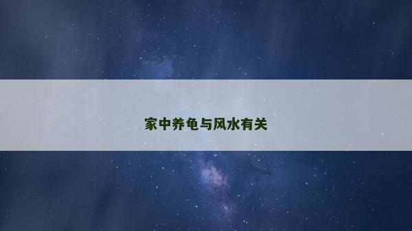 家中養(yǎng)龜與風(fēng)水有關(guān)