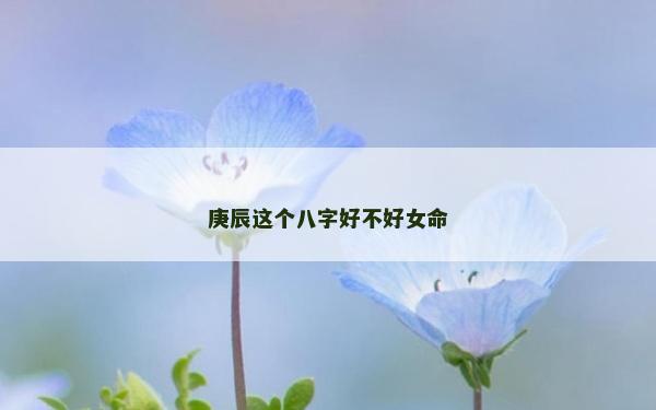 庚辰這個八字好不好女命