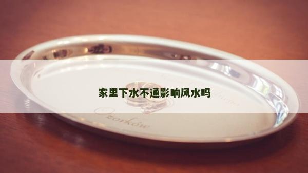 家里下水不通影響風水嗎 家里下水不通影響風水嗎